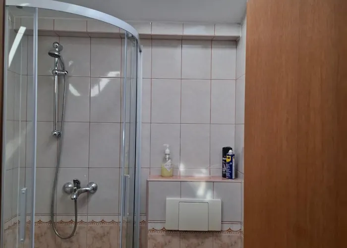 Апартаменты Casa Milesic